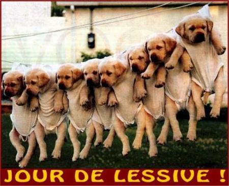 lavage
